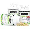 Survival Multivitamin Complex Forte - akce 2+1 zdarma (Velikost 1 pack)