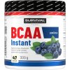 Survival BCAA Instant - akce 1+1 (Velikost 1 pack)