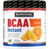 Survival BCAA Instant - akce 1+1 (Velikost 1 pack)