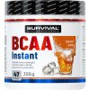 Survival BCAA Instant - akce 1+1 (Velikost 1 pack)