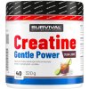 Survival Creatine Monohydrate Gentle Power - 480 g, broskev (Příchuť broskev, Velikost 480 g)