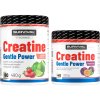 Survival Creatine Monohydrate Gentle Power - 480 g, broskev (Příchuť broskev, Velikost 480 g)