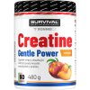 Survival Creatine Monohydrate Gentle Power - 480 g, broskev (Příchuť broskev, Velikost 480 g)