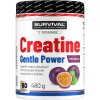 Survival Creatine Monohydrate Gentle Power - 480 g, broskev (Příchuť broskev, Velikost 480 g)