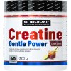 Survival Creatine Monohydrate Gentle Power - 480 g, broskev (Příchuť broskev, Velikost 480 g)
