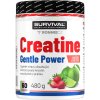 Survival Creatine Monohydrate Gentle Power - akce 480 g + 320 g zdarma (Velikost 1 pack)