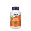 NF CURCUMIN PHYTOSOME 500MG 60vcaps