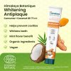 Himalaya Botanique Whitening Antiplaque Curcuma Toothpaste 75 ml (Příchuť Máta)