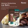 Himalaya Lip Balzám na rty s kakaovým máslem 4,5 g (Příchuť Kakaové máslo)