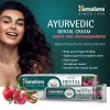 Himalaya Dental Cream Toothpaste 100 g (Příchuť Granátové jablko)