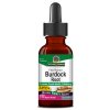 1026 Burdock High Res Vector Bottle