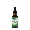 NA AF GOLDENSEAL ROOT 1Oz