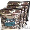 creatine 1200