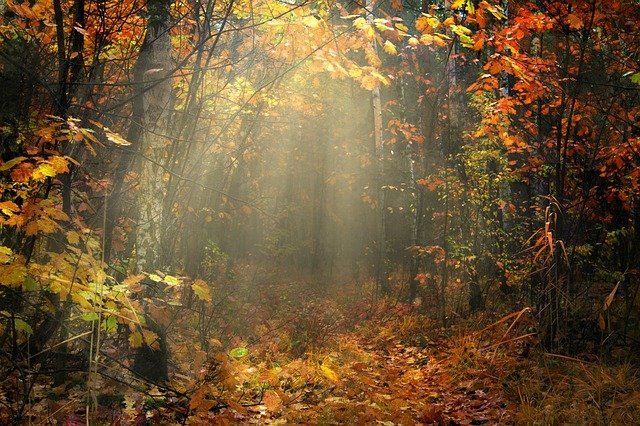 Venkovní infrazářič: Vyplatí se? Rozhodně je příjemným doplňkem!
