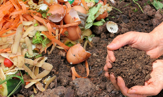 Tajemství dobrého kompostu: Víte, že má příjemně vonět?