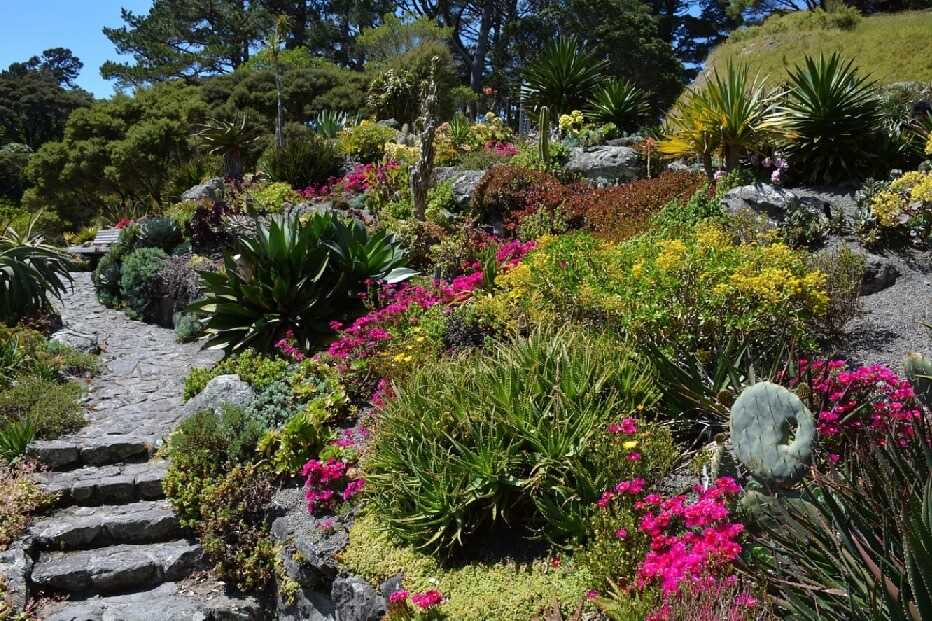 Patří jehličnany na vaši zahradu?