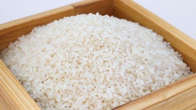 Otrava rýží? Jak správně uvařit rýži a jak ji skladovat?