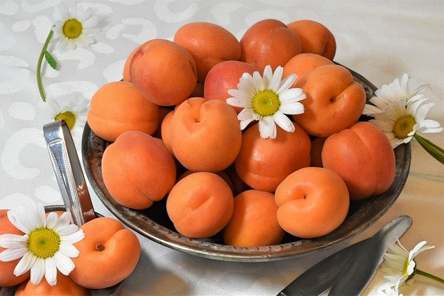 apricots-4219809_640