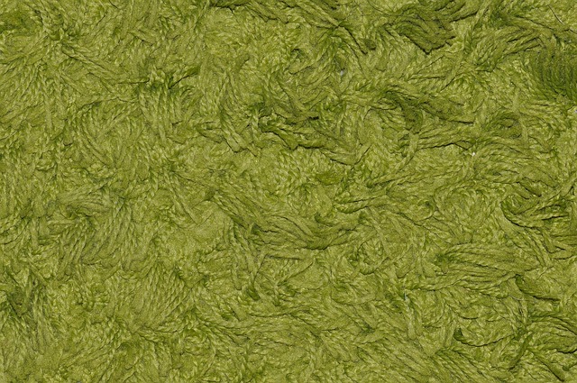 carpet-612874_640