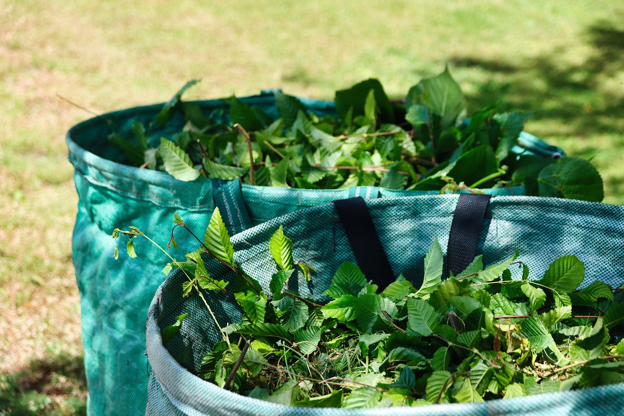 green-stuff-7276322_1280