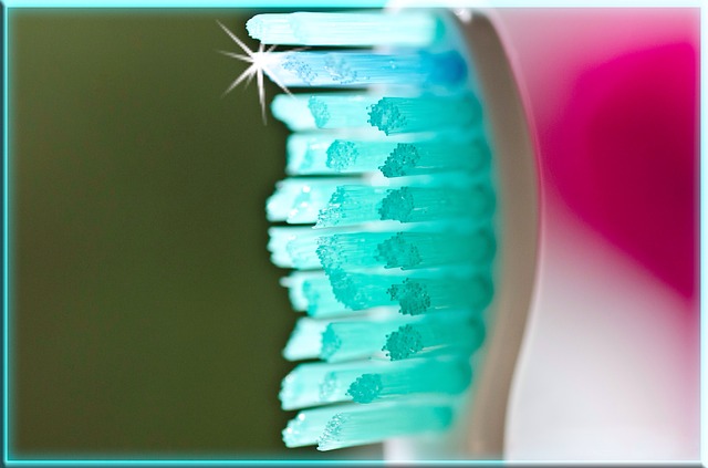 toothbrush-g9adcf00ff_640