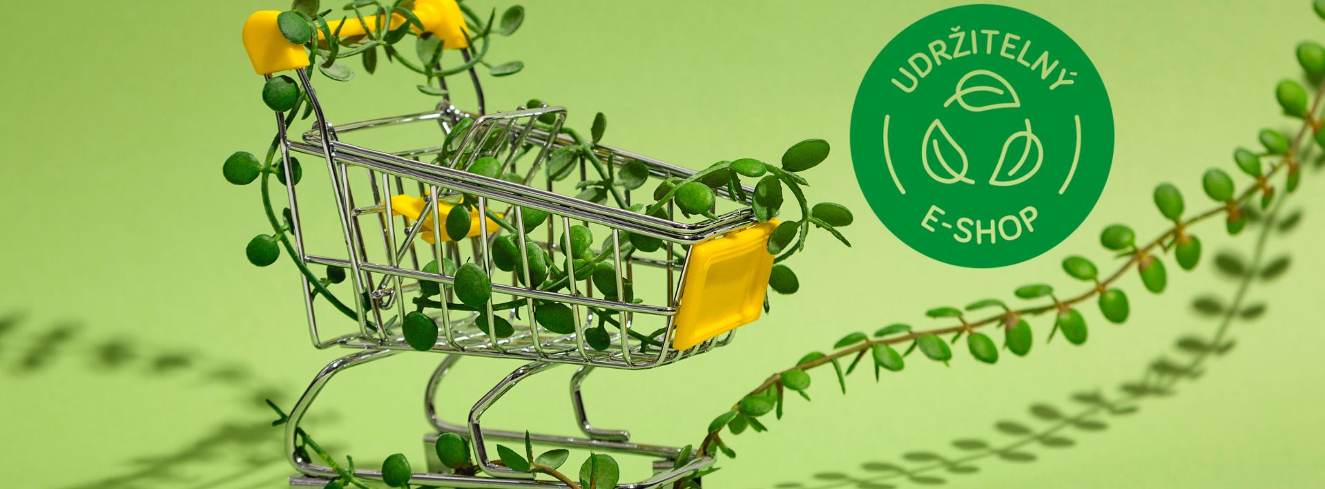 Udržitelný eshop