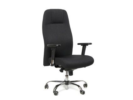 BZJ 250 – židle Multised