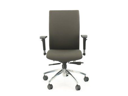 BZJ 1011 – židle Multised