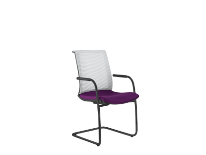 Lyra Net 203-Z