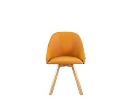 ARMONICA WOOD