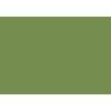 Židle NICE (Odstín polypropylen fg olive green)
