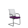 Lyra Net 203-Z