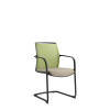 Leaf 505-Z-N1