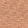 Era CSE25