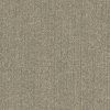 Athlon Plus AP61194