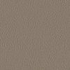 Valencia V0034