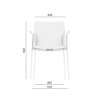 Trend 531-N1,BR