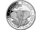 Somali Elephant