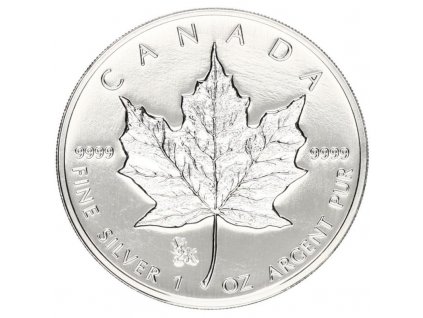 canadian maple leaf stribrna mince 1oz 1999 y2k
