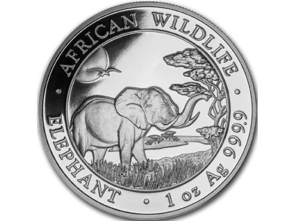 somali elephant african wildlife stribrna mince 1oz 2019