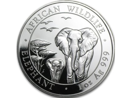 somali elephant african wildlife stribrna mince 1oz 2015