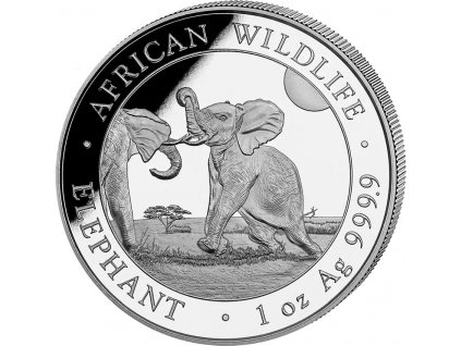 somali elephant african wildlife stribrna mince 1oz 2024