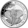 somali elephant african wildlife stribrna mince 1oz 2021