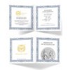 allegories stribrna mince 1oz 2021 austria germania certificate