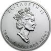 canadian maple leaf stribrna mince 1oz 1999 2000 firework privy obverse