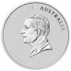 australian lunar series iii stribrna mince 1oz 2025 year of the snake obverse