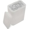 lunar snake stribrny slitek 1oz 2025 tube