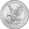 american eagle stribrna mince 1oz 2024 apmex mintdirect premier pcgs reverse