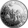 somali elephant african wildlife stribrna mince 1oz 2017