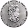 116748 canadian maple leaf 2020 obv 1198